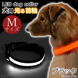 【 Mサイズ ブラック 】犬 光る 首輪 お散歩 led ライト 中型犬 おしゃれ 光る首輪 ドック 夜の散歩グッズ 軽い　犬用