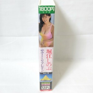 堀江しのぶ サマー・リフレイン VHS イメージビデオ プロモーション アイドル アイドルグ 大陸書房の画像2