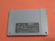 セーブ電池新品!　甲竜伝説ヴィルガスト　端子メンテ済み！　一発起動!_画像5