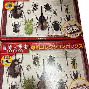 世界の昆虫 DATA Book デアゴスティーニ特製専用 コレクションボックス