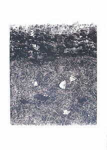 中林忠良版画「転位’90　地　上野」　エッチング/アクアチント　1990　限100　サイン　44×35.5 Tadayoshi Nakabayasi