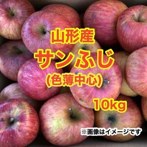 a3山形りんごサンふじ（色薄中心） 10kg〈訳あり家庭用〉