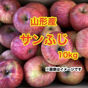 a3山形産りんごサンふじ 10kg〈訳あり家庭用〉