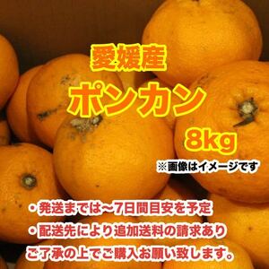 f1愛媛産ポンカン 8kg〈訳あり家庭用〉