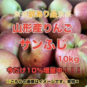 a11山形産りんごサンふじ 10kg〈訳あり家庭用〉