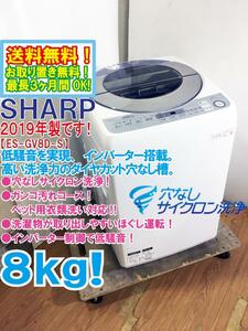 ★送料無料★2019年製★極上超美品 中古★SHARP 8kg 低騒音を実現!!高い洗浄力のダイヤカット穴なし槽!!洗濯機【ES-GV8D-S】CURR