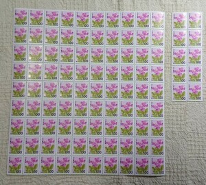  stamp 100 jpy 100 sheets unused Sakura saw 100 jpy stamp 