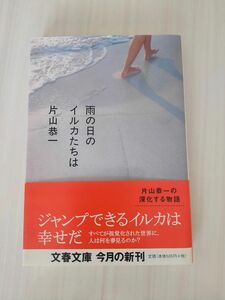 雨の日のイルカたちは （文春文庫　か３７－１） 片山恭一／著