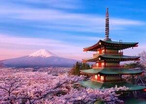 桜富士 新倉山浅間公園の桜と五重の塔 富士山 さくら 絵画風 壁紙ポスター 特大A1版830×585mm（はがせるシール式）013A1