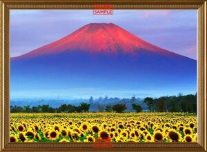 Art hand Auction Red Fuji Sunrise Mt. Fuji und Sunflower Field Sunflower [Rahmendruck] Tapetenposter im Malstil, 594 x 436 mm (abziehbarer Aufklebertyp) 033SGB2, Drucksache, Poster, Andere