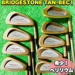 往年の名器 BRIDGESTONE TAN-BEC1 9本 希少 ベリリウム銅ブリヂストン アイアンセット 