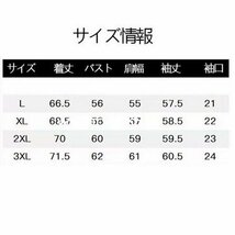 メンズマウンテンパーカー　スイングトップ　コーチジャケット　メンズ　アウター　ベージュ 秋春2XL_画像6