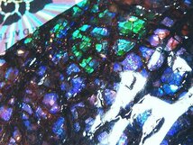 化石 アンモライト 青、紫！寒色！巨大！オパールの様な発色！神秘的 ジュエリー 宝石 化石 原石 鉱物 標本 観賞石_画像8