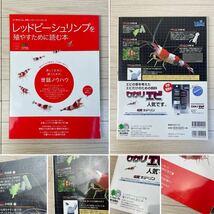 レッドビーシュリンプ 殖やすために読む本 水草の本 ビーシュリンプ専門情報誌 ProFire 4冊セット レッドビー 本_画像4