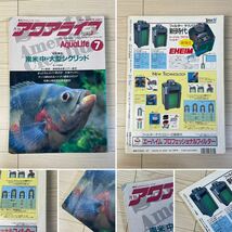 月刊 アクアライフ 1994年～1996年 不揃い 7冊 まとめて シクリッド 本 AquaLife_画像3