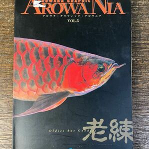 AROWANIA アロワナ・グラフィック・アロワニアVol.5 2000年発行 老練 アロワナ 魚 中古本の画像1