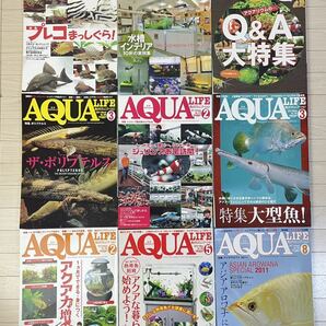 AQUA LIFE 月刊 アクアライフ 2000年～2012年 不揃い 40冊 以上 アロワナ アクアリウム 淡水エイ スネークヘッド 金魚 レッドビー 巨大魚の画像2