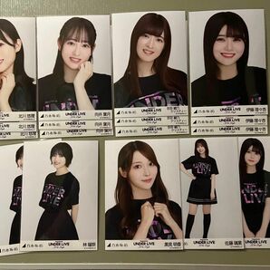 乃木坂46 生写真 コンプ バラ まとめ売り アンダーライブT tシャツ