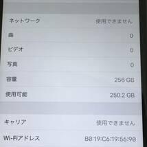 iPhone 8 Plus 256GB au ＳＩＭロックなし ネットワークチェッカー判定〇　動作確認済み 中古現状販売品_画像4
