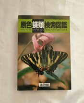 原色蝶類検索図鑑　北隆館　猪又敏男著　平成2年　定価4,800円_画像1