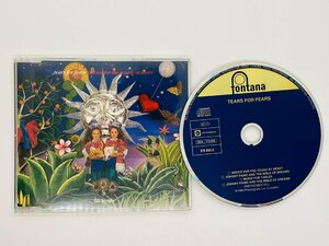 即決CD Tears For Fears ティアーズ・フォー・フィアーズ / Advice For The Young At Heart / Z61