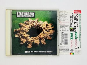 即決CD ストロベリー・スローター・ハウス STRAWBERRY SLAUGHTERHOUSE / SUCK and the art of surviving suburbia 帯付き K06