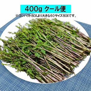 【早期予約に限り100円引】【クール便】豪雪地帯のごちそう山菜 アケビの新芽「木の芽」約400g / 新潟では高級割烹食材