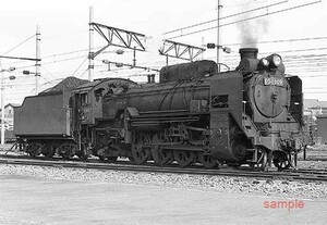 【鉄道写真】D51 1009 旭川区 [4001073]