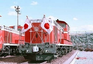 【鉄道写真】DD51 555 [0007582]