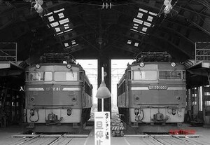 【鉄道写真】EF70 81＆EF70 1007 [0007605]