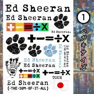 【当日発送】Ed Sheeran タトゥーシール（ハガキサイズ）