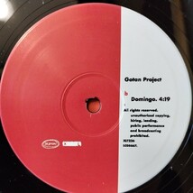 (10inch)Gotan Project/Deferente[Ya Basta]レコード Gilles Peterson, クラブ・ジャズ, クロスオーバー_画像5