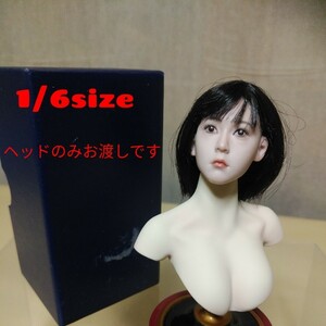 中古1/6size美少女ヘッドのみお渡しです★ファイセンTBleagueのシームレスアクションフィギュア素体用です★トルソーは付きません