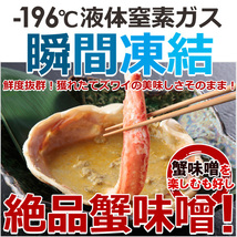 【5個出品】　カナダ産 ボイル 姿 ズワイガニ 1尾 (約750g前後) 鮮度抜群 瞬間凍結 さんきん1円_画像3