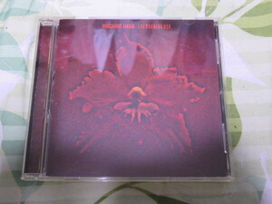 国内盤　日本盤　マシーン・ヘッド　Machine Head　マシーンヘッド　The Burning Red