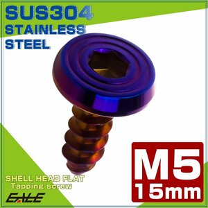 タッピングネジ M5×15mm SUS304 ステンレス シェルヘッドフラット 六角穴 フランジ付き ネジ 焼きチタンカラー TC0163