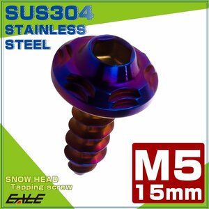 タッピングネジ M5×15mm SUS304 ステンレス スノーヘッド 六角穴 フランジ付き ネジ 焼きチタンカラー TC0193