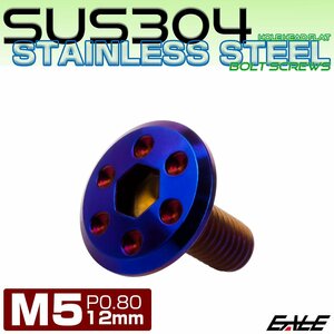 ステンレスボルト M5×12mm P0.8 ホールヘッド フラット 六角穴付 ボタンボルト SUS304 焼きチタンカラー TR0973