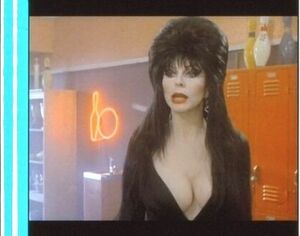 エルヴァイラ 35mm映画フィルム カサンドラピーターソン ジェームズシニョレッリ監督 ◆連続５コマ ELVIRA : MISTRESS OF THE DARK