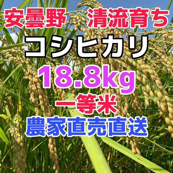 令和5年産【コシヒカリ18.8kg一等米】ウチゴハンを笑顔にする安曇野産自家製