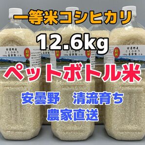 令和 5年産・2Lボトル×7【コシヒカリ白米12.6kg一等米】安曇野自家製