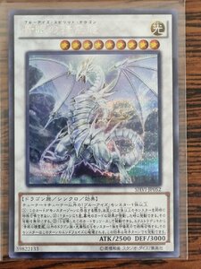 遊戯王 青眼の精霊龍 シークレットレア SHVI-JP052