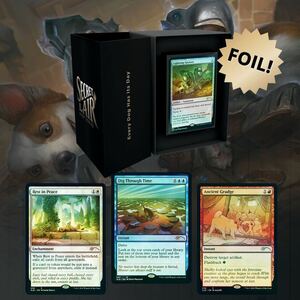 ★☆MTG Secret Lair Every Dog Has Its Day Foil Edition 新品未開封 SLD☆★