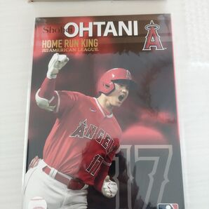 2023ALホームラン王獲得記念 大谷翔平PremiumFrameセット