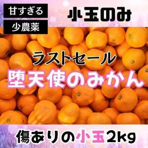 個数限定！甘い!小粒!小さいサイズ! B級小玉の堕天使のみかん 2kg小玉 ss