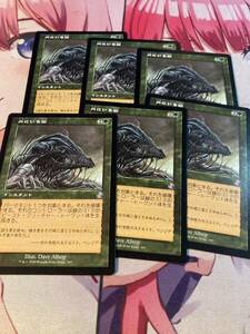 MTG 内にいる獣 パウパー edh 数量分