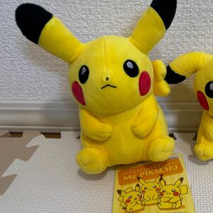 ぬいぐるみ ポケモンセンター マイピカチュウ PIKACHU メス