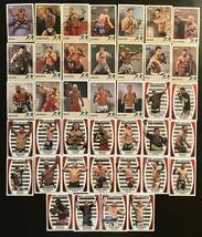 2011 Topps UFC 格闘技 ベース ゴールドパラレル版 シルバー レズナーなど 530枚セット 大量MMA Gold Anderson Wanderlei Silva Jon Jones_画像5