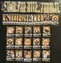 2011 Topps UFC 格闘技 ベース ゴールドパラレル版 シルバー レズナーなど 530枚セット 大量MMA Gold Anderson Wanderlei Silva Jon Jones_画像3