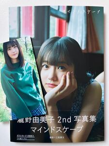 【楽天限定版・付録付】瀧野由美子　写真集　マインドスケープ　STU48　帯付き